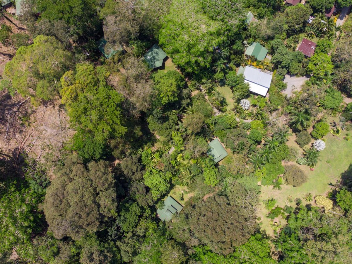 Finca Chica Lodge & Villas Puerto Viejo de Talamanca ภายนอก รูปภาพ
