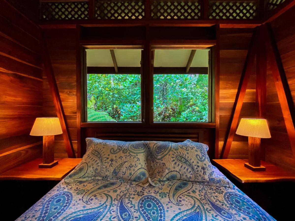 Finca Chica Lodge & Villas Puerto Viejo de Talamanca ภายนอก รูปภาพ